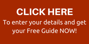 BBIC 2015 Guide Click Here button
